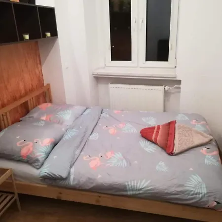 Plac Solna Homestay *