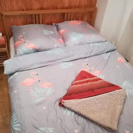 Homestay Plac Solna